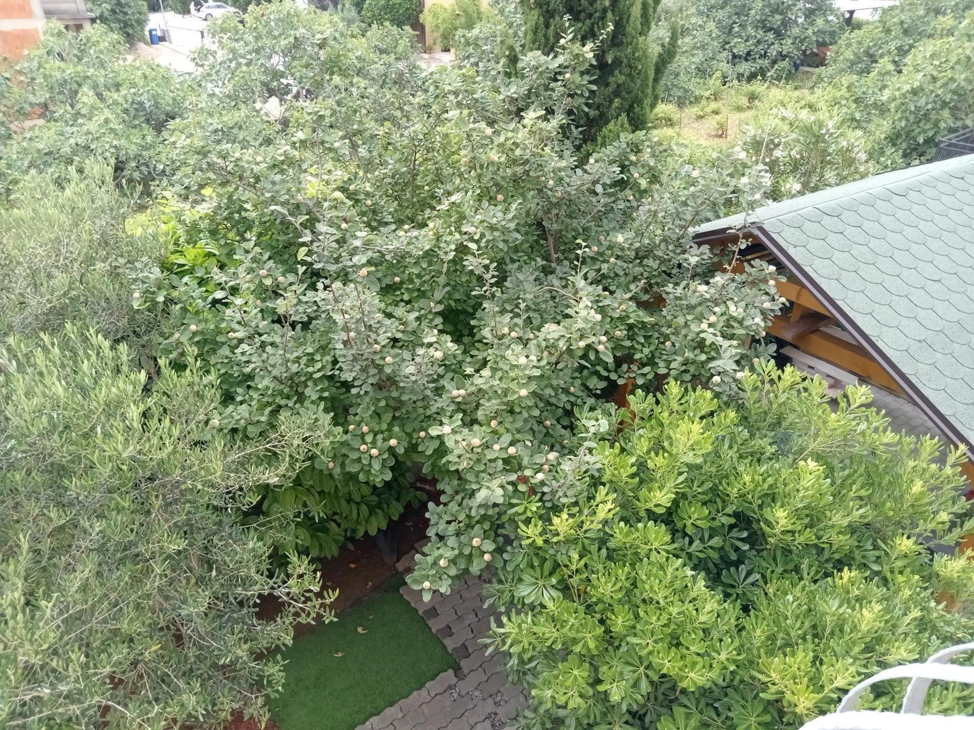 Ana Rooms Krk Town Exterior photo